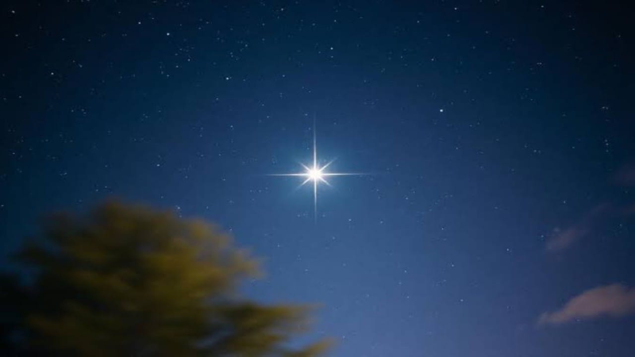 فلكية جدة: “سهيل” يُعلن بداية العد التنازلي لصيف 2025