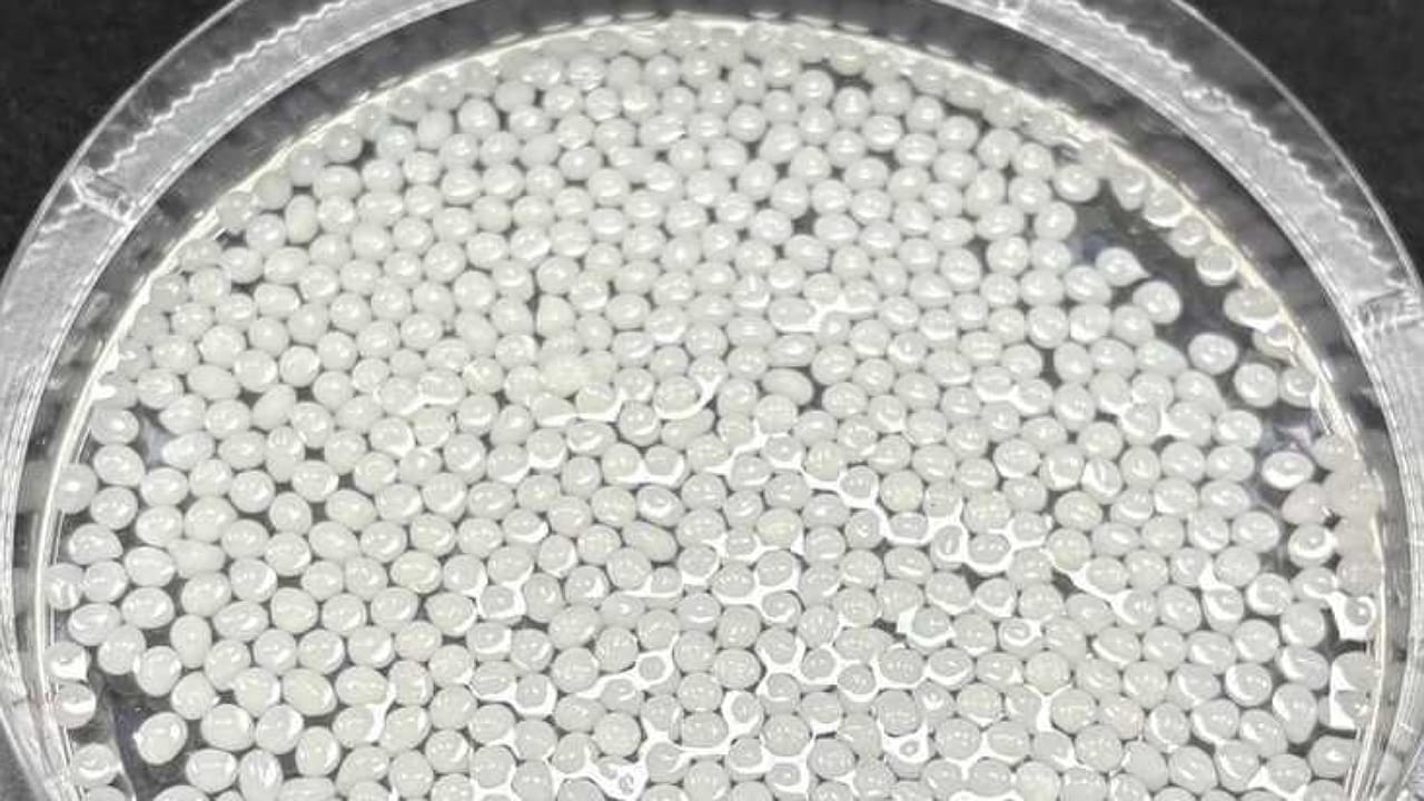 اكتشاف صيني: خرزات نباتية تساعد على إنقاص الوزن