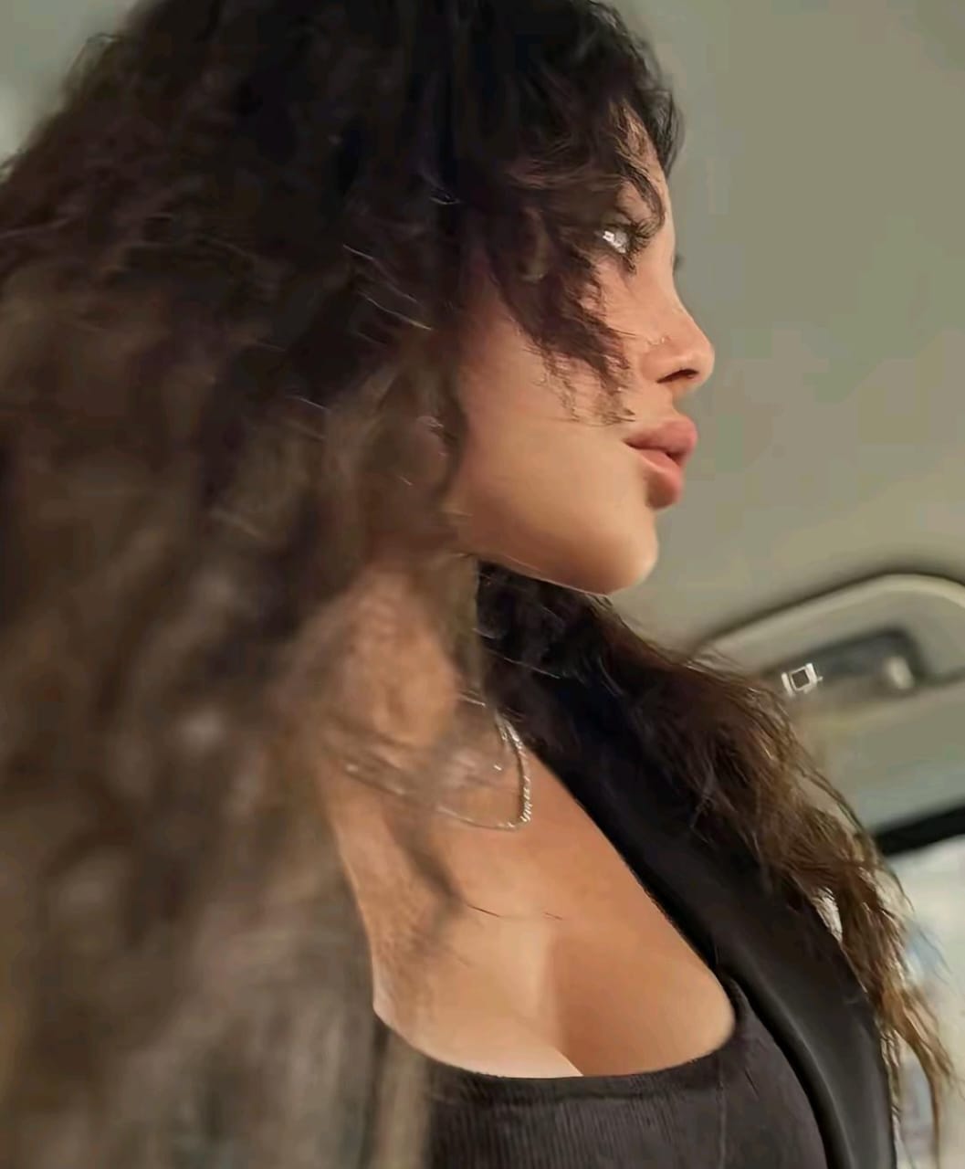 هيفاء وهبي تخطف الأنظار بإطلالة بسيطة وجذابة.. صور