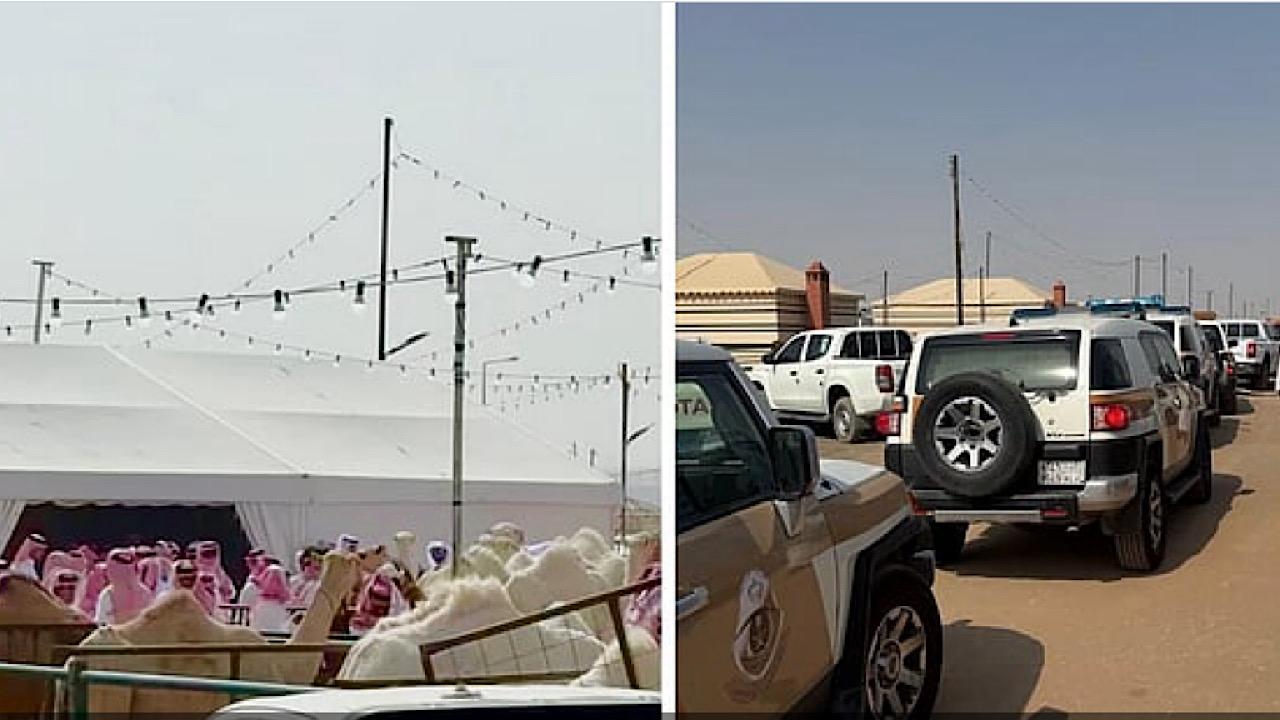 البيئة توقف مزاد  غير نظامي للإبل في ⁧‫الرياض‬⁩