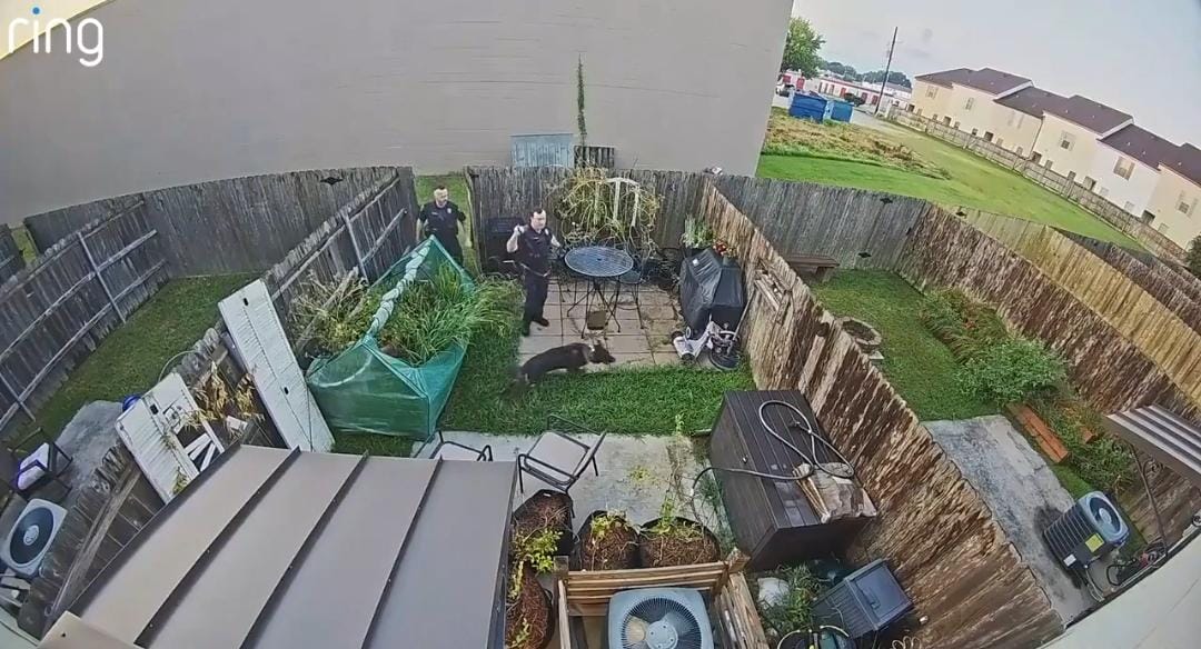 مطاردة فاشلة لسجين هارب تشعل الجدل في أمريكا .. فيديو