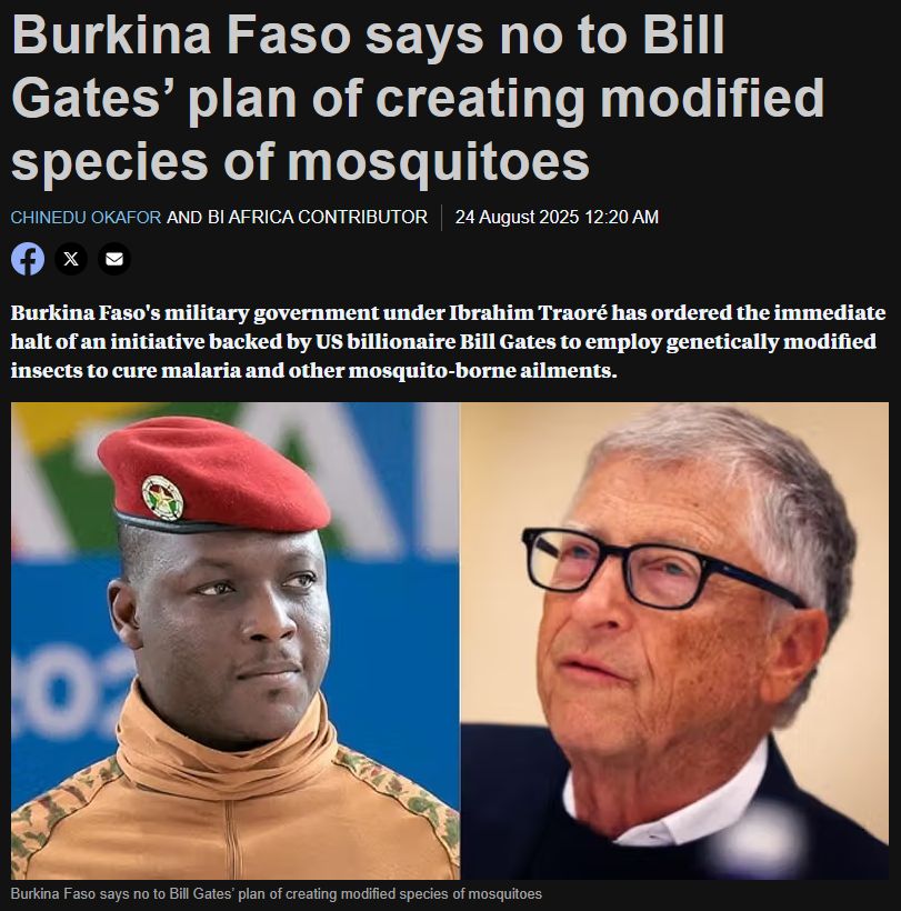 بوركينا فاسو توقف مشروع بيل غيتس لإطلاق بعوض معدل وراثيا