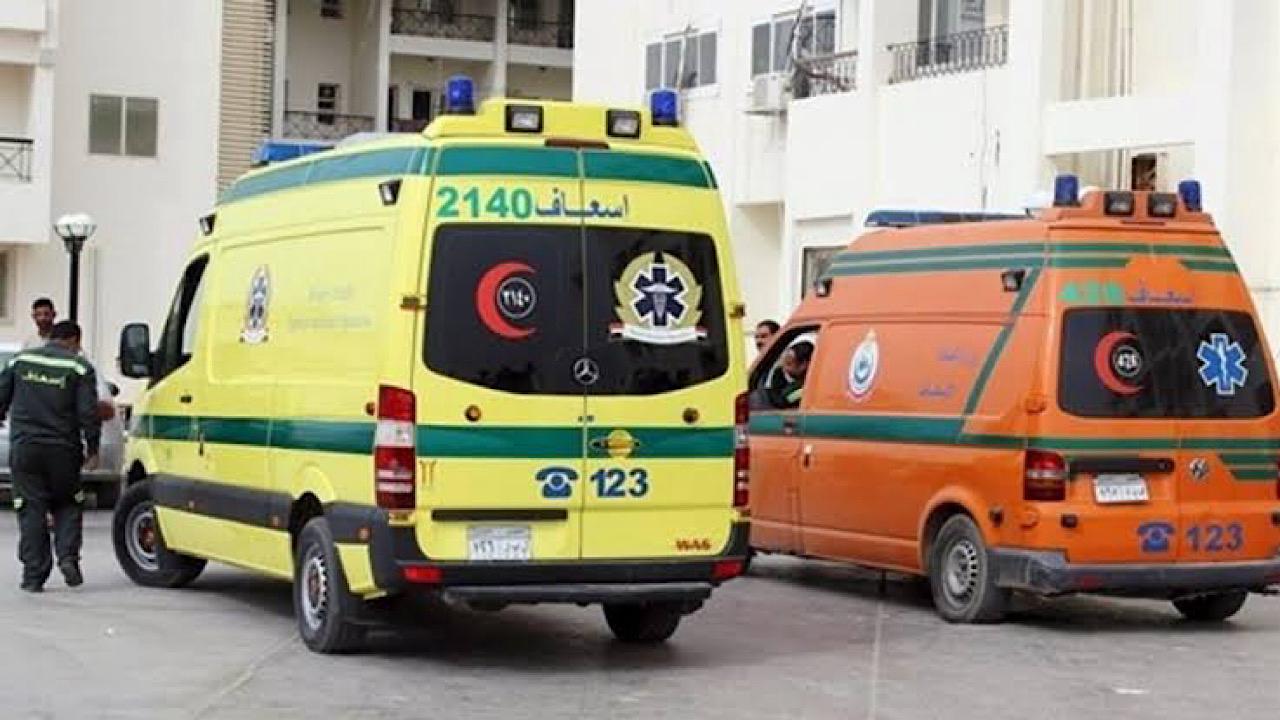 مصرع 7 وإصابة 44 في حادث تصادم مروع.. فيديو