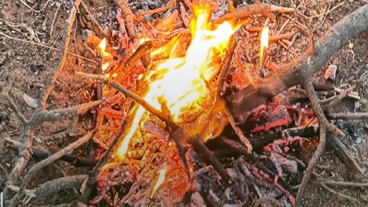 ضبط 21 مخالفًا لنظام البيئة في عدد من المناطق .. فيديو