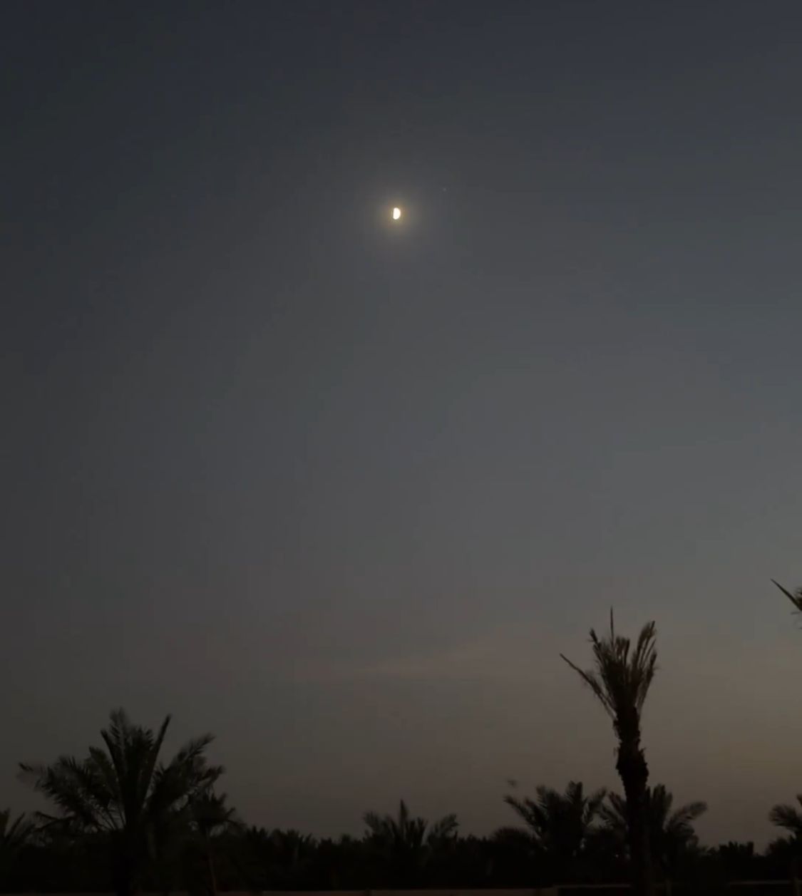 الزعاق: خسوف كلي للقمر يشاهد في سماء الوطن العربي الأحد المقبل.. فيديو