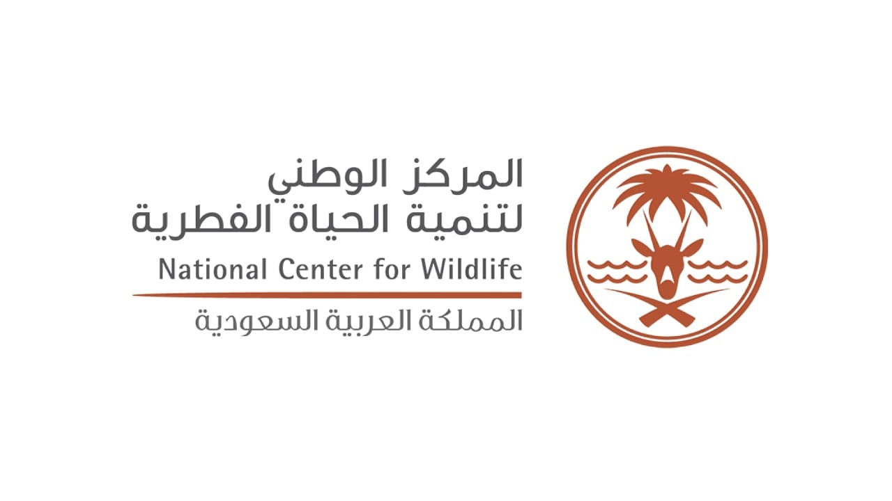 مدير الحياة الفطرية: استخراج تراخيص الصيد في أقل من دقيقة عبر منصة فطريات .. فيديو