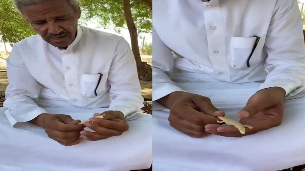 خالد عبدالرحمن خلال إحدى كشتاته: “الدنيسة” أتوقع طعمها حلو.. فيديو