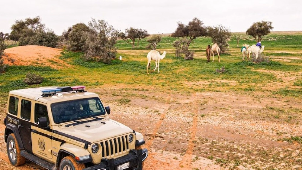 29 مخالفًا لنظام البيئة في عدة مناطق .. فيديو