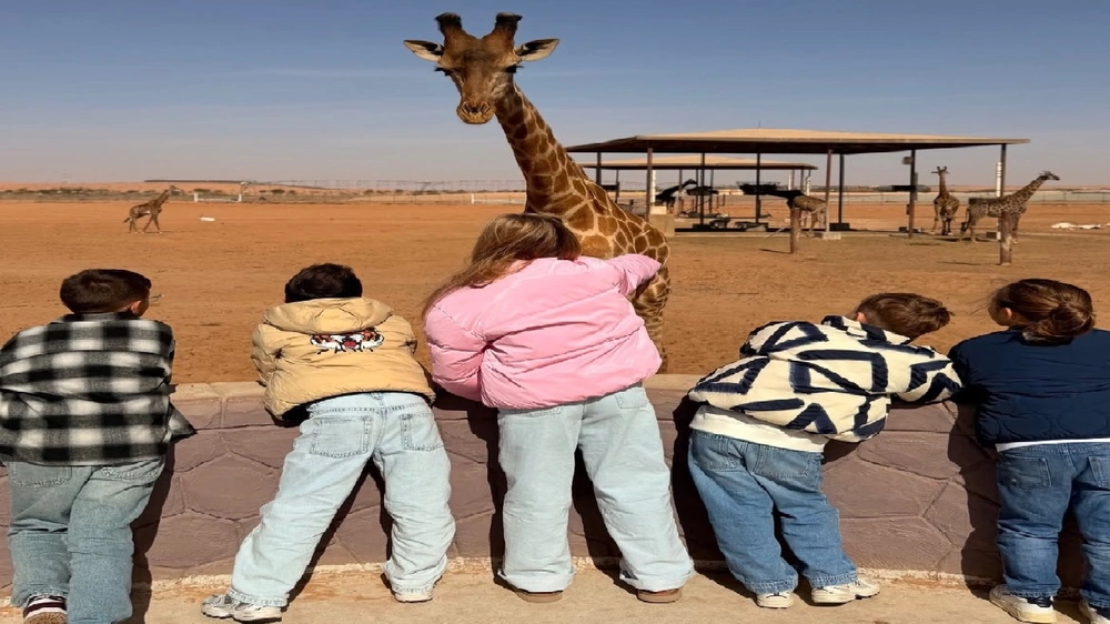 عائلة نيفيز تستمتع بتجارب السفاري في حديقة نوفا.. صور