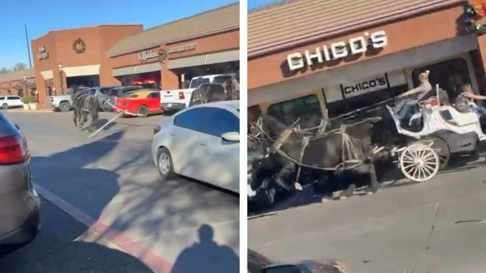 عربة خيول تخرج عن السيطرة وتثير الذعر في شوارع تكساس .. فيديو