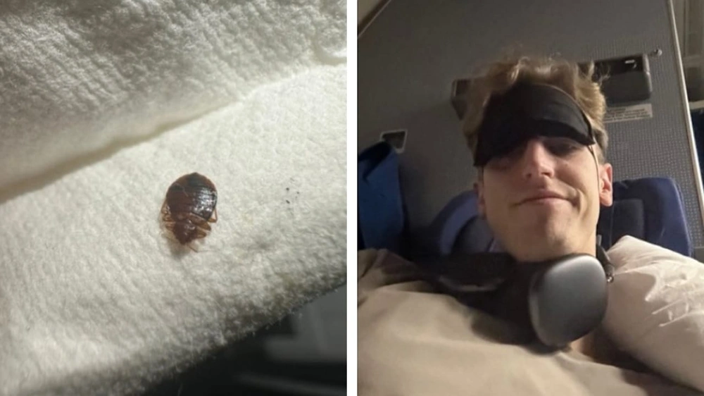 مسافر يتفاجأ ببق الفراش على مقعده أثناء الرحلة .. فيديو