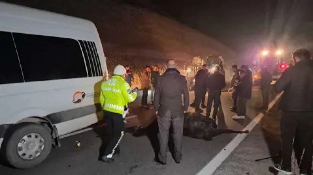 لحظة نفوق 8 خيول عربية وإصابة آخرين في تركيا .. فيديو