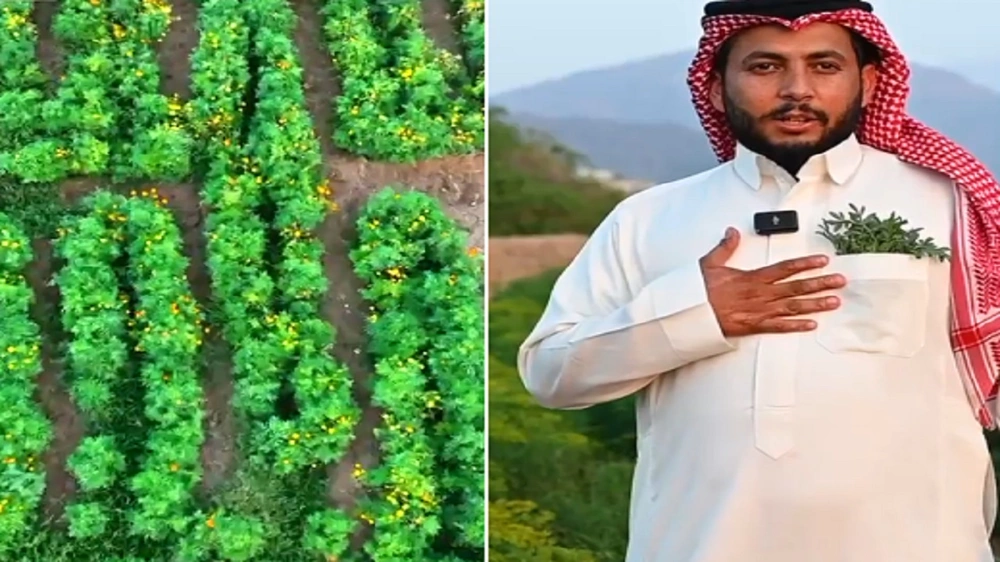 شاب وإخوانه يحولون شغفهم بالزراعة إلى مشروع بمحايل عسير.. فيديو