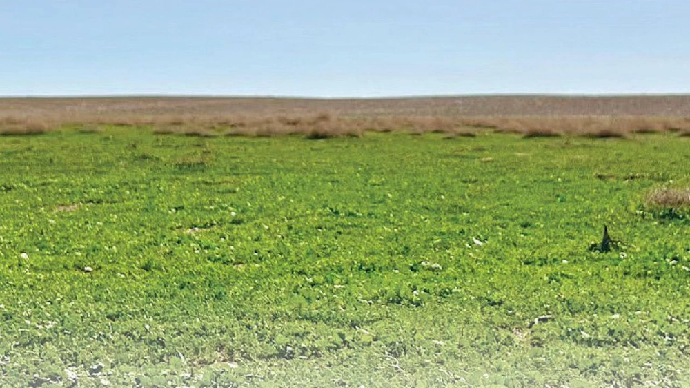 حرس الحدود يحذر هواة البحث عن الفقع من الاقتراب من الحدود