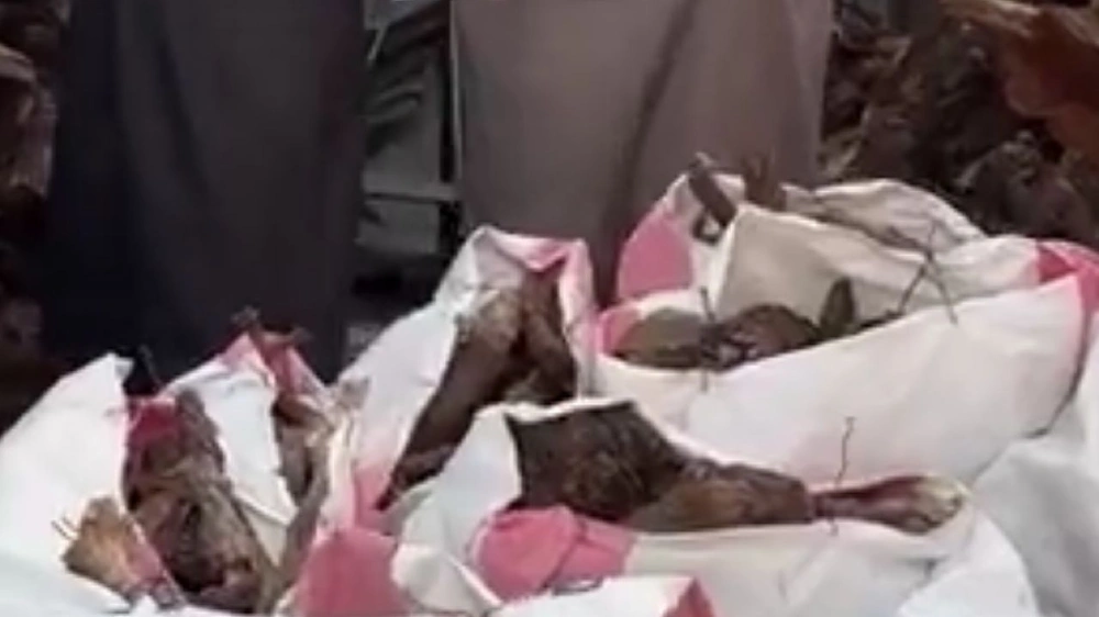 لحظة ضبط كميات كبيرة من الحطب المحلي المخالف بحفر الباطن .. فيديو