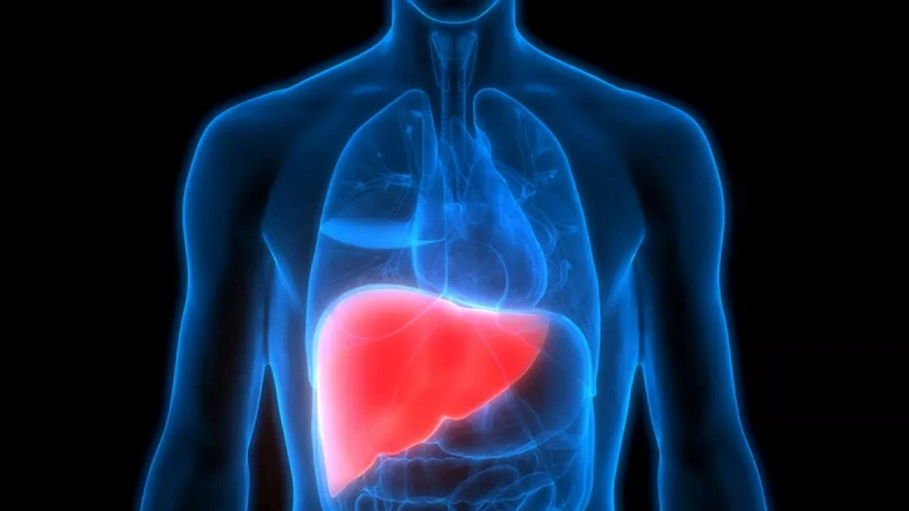 محكمة كورية ترفض مطالبة زوج بتبرع زوجته بالكبد له
