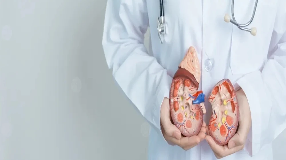 النمر: قصور وظائف الكلى بوصلة إنذار مبكر لأمراض القلب