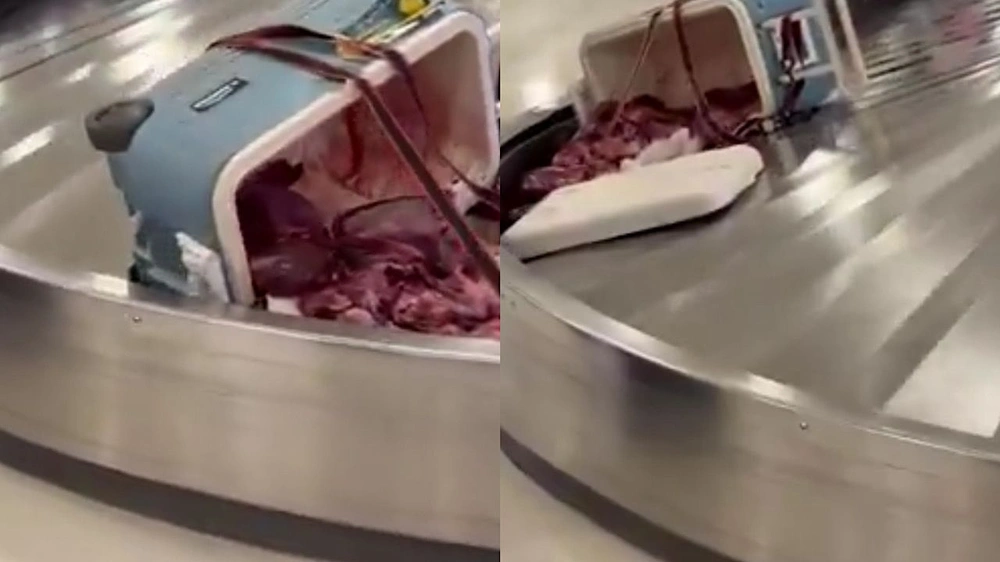 فيديو صادم من مطار أمريكي لمسافر يشحن ذبيحة دون تغليف