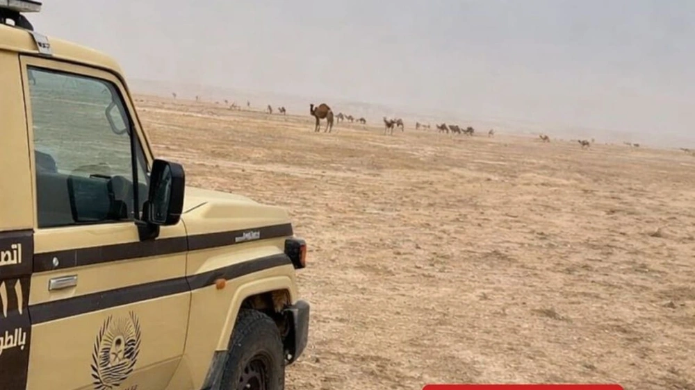 ضبط مخالفًا لنظام البيئة في محمية الملك عبدالعزيز الملكية