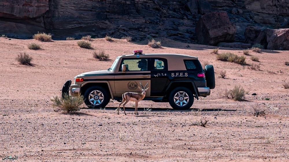 ضبط 34 مخالفًا لنظام البيئة في عدة مناطق .. فيديو