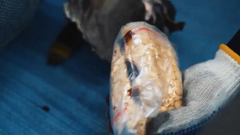 إحباط تهريب 4.79 مليون حبة إمفيتامين بميناء جدة الإسلامي.. فيديو