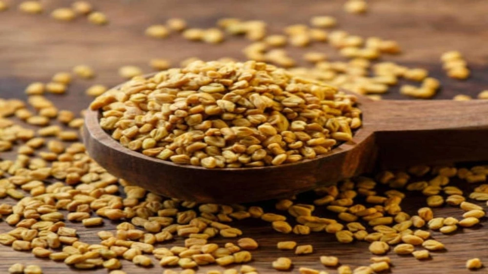 النمر يحذر مرضى ضعف عضلة القلب من استخدام الحلبة