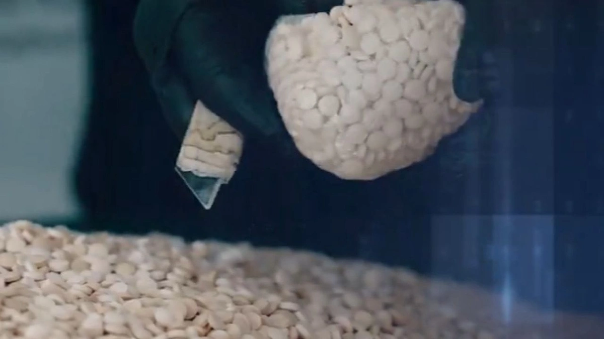 إحباط تهريب أكثر من 269 ألف حبة كبتاجون بمنفذ الحديثة  .. فيديو