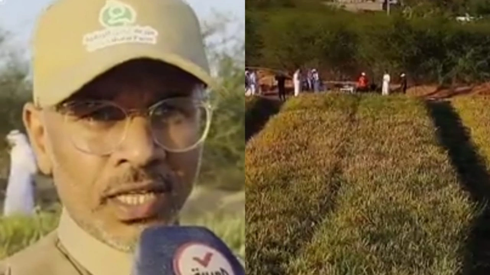 تجربة زراعية جديدة تنجح بزراعة الأرز لأول مرة في عسير .. فيديو