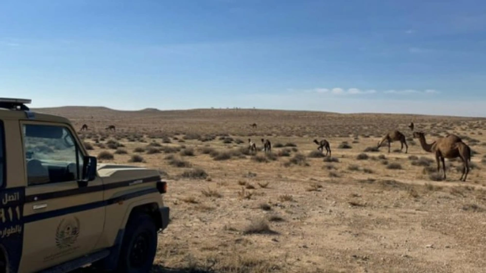 ضبط مواطنا لارتكابه مخالفة رعي في محمية