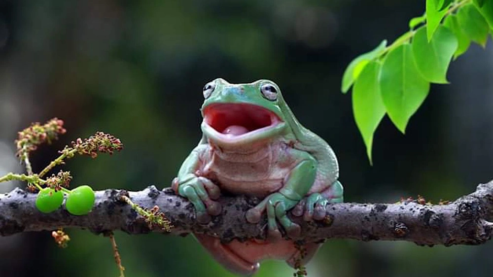 شرطة يوتا تصحح تقرير ذكاء اصطناعي وصف ضابطًا بأنه تحول إلى ضفدع