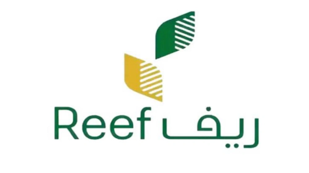 شركة ريف توفر وظائف شاغرة