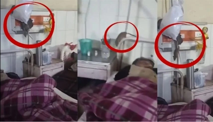 مشاهد صادمة لفئران تتجول داخل غرفة رعاية تثير الغضب في الهند .. فيديو