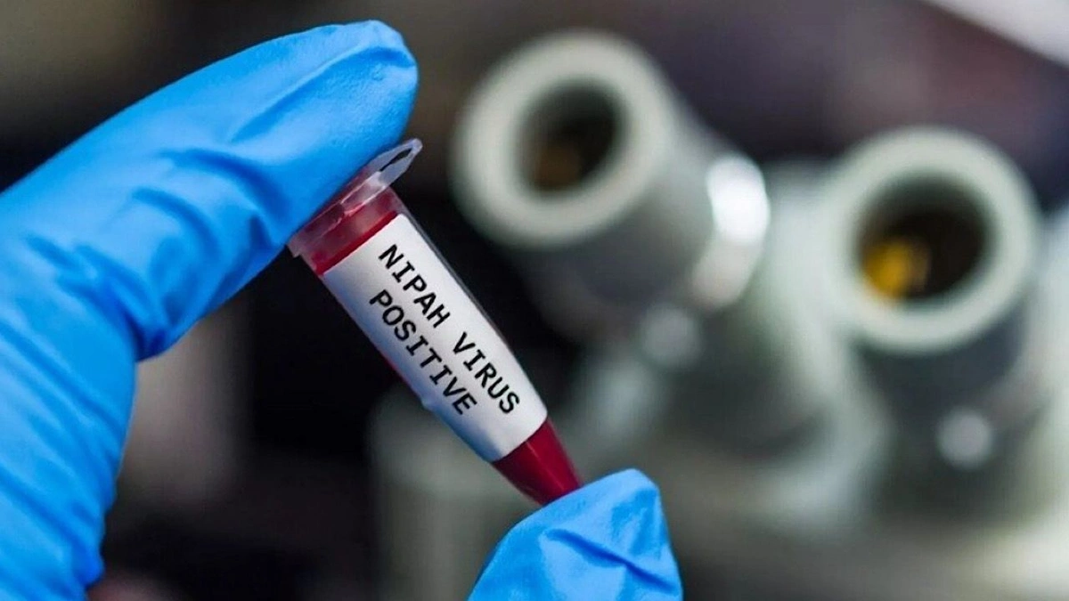 الهند تفحص خفافيش حديقة حيوانات بحثاً عن فيروس نيباه القاتل