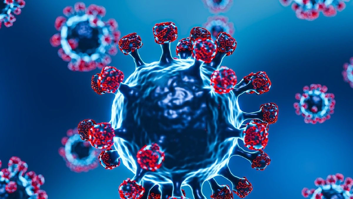 فيروس نيباه يثير القلق عالميًا مع تسجيل إصابات جديدة