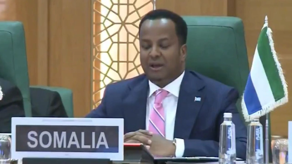 وزير خارجية الصومال: المزاعم الإسرائيلية انتهاك صريح لسيادة الصومال .. فيديو