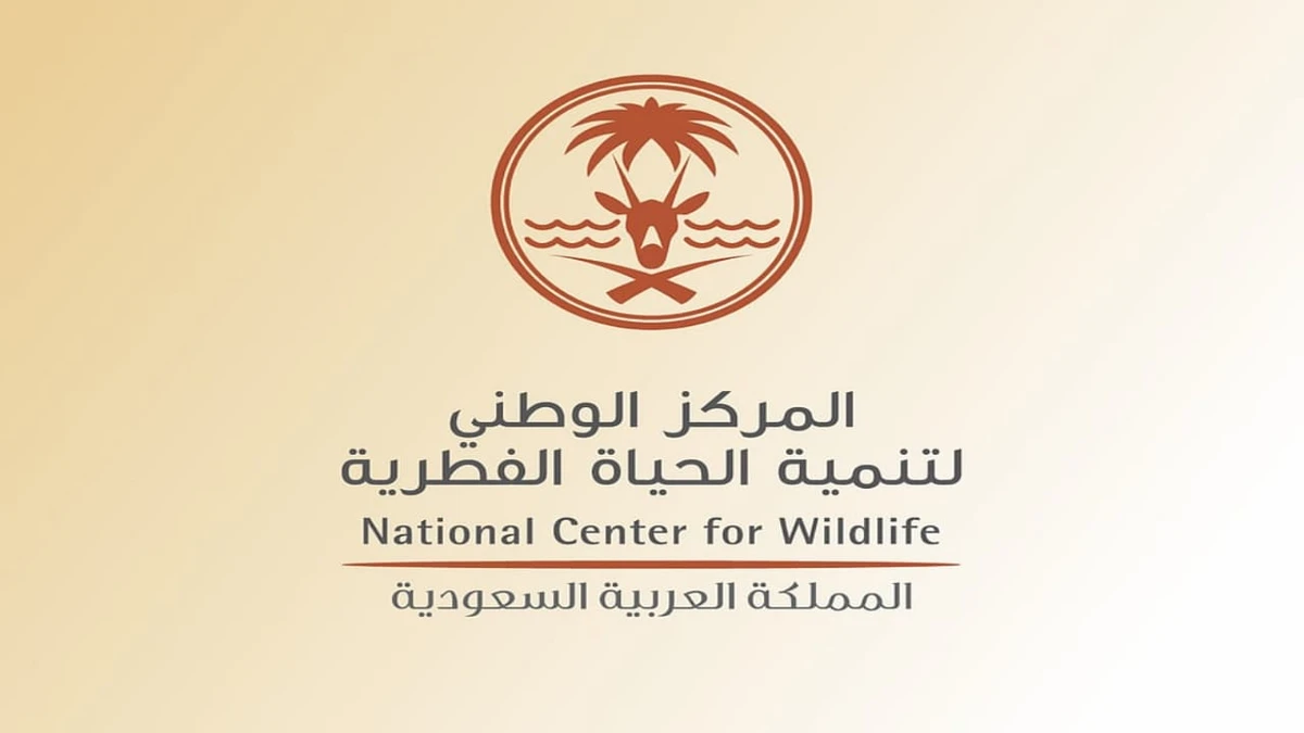 وظائف شاغرة لدى المركز الوطني لتنمية القطاع غير الربح