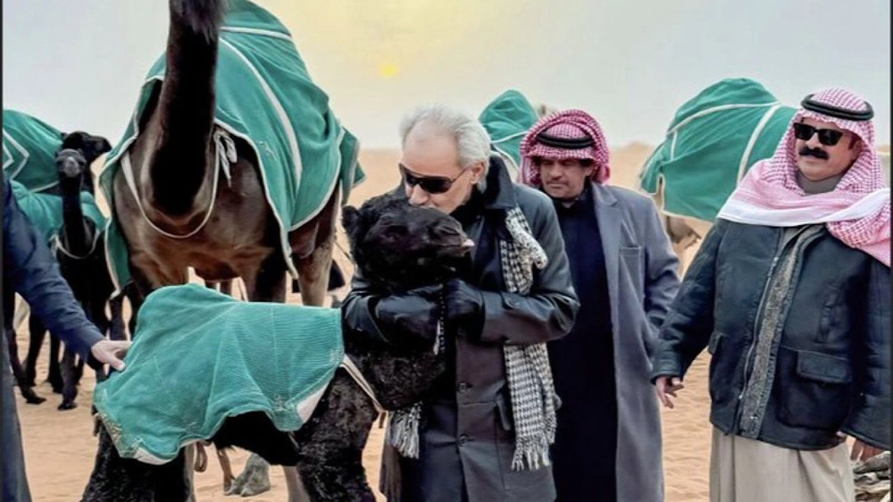 الأمير وليد بن طلال : صحراء نجد العظيمة لها مكانة خاصة .. صورة
