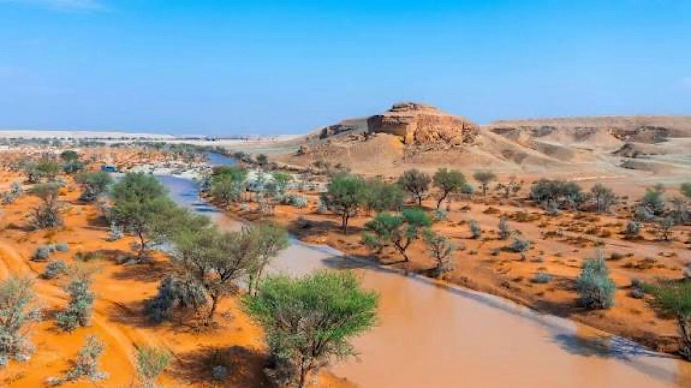 ضبط مواطن لرعي الإبل في محمية الملك عبدالعزيز وغرامة مالية