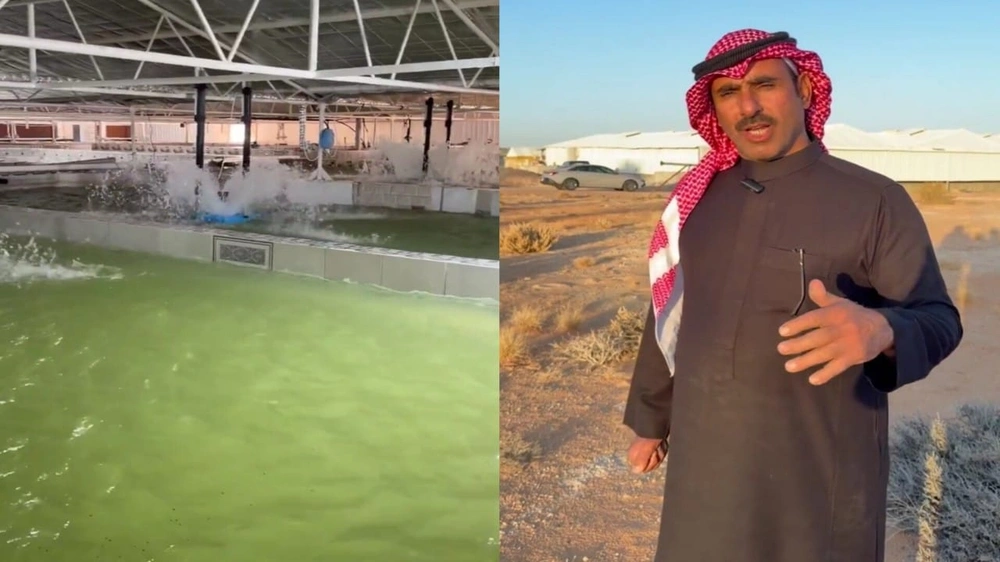 مواطن يحقق حلم الـ 20 عامًا باستزراع سمك السلمون في وسط صحراء النفود.. فيديو