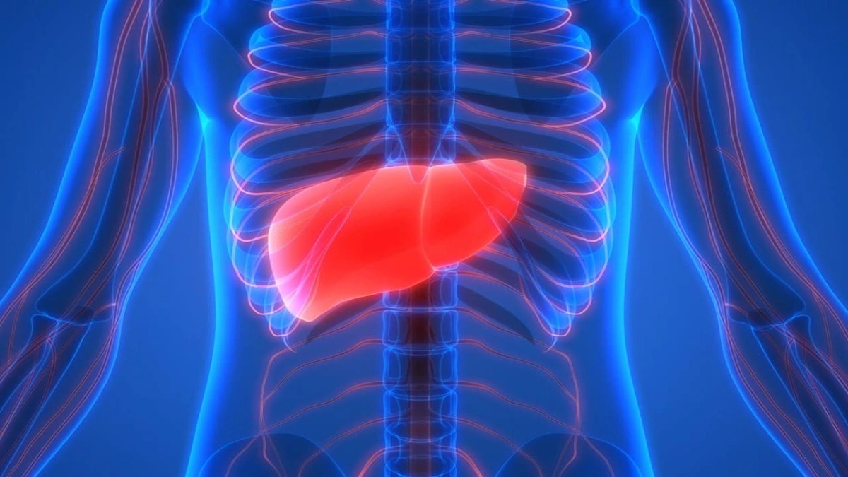 تحذير من نظام غذائي شائع يزيد خطر الإصابة بسرطان الكبد