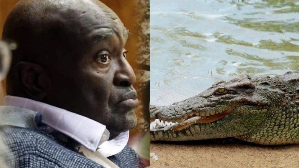 قاتل مسن يواجه الإعدام بعد 19 عاماً من خطفه لـ طفلة ورميها للتماسيح