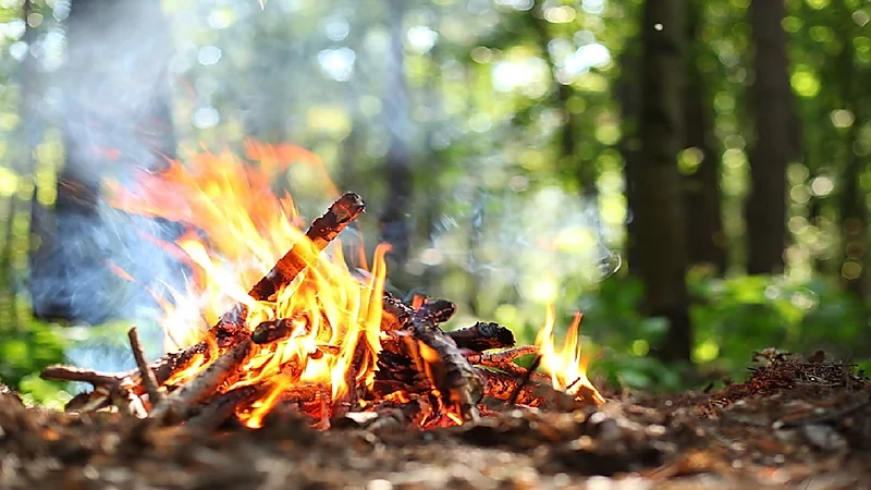 ضبط مواطن أشعل النار في غير الأماكن المخصصة لها بالمدينة المنورة