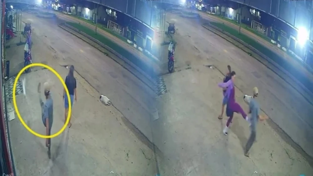 امرأة تواجه معتدياً لإنقاذ قطة في البرازيل وتخطف قلوب الجماهير .. فيديو