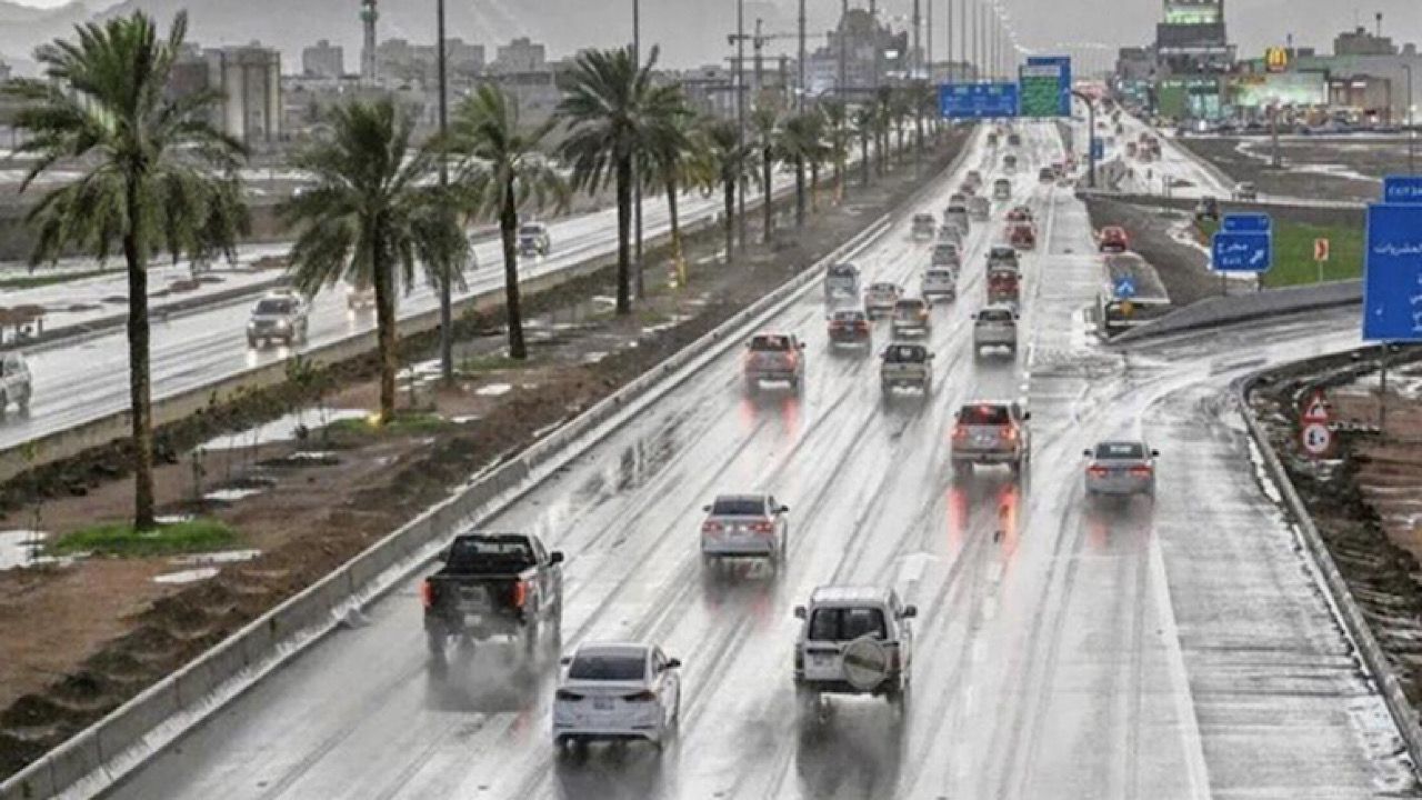 المسند: موجة باردة ملموسة يومي السبت والأحد