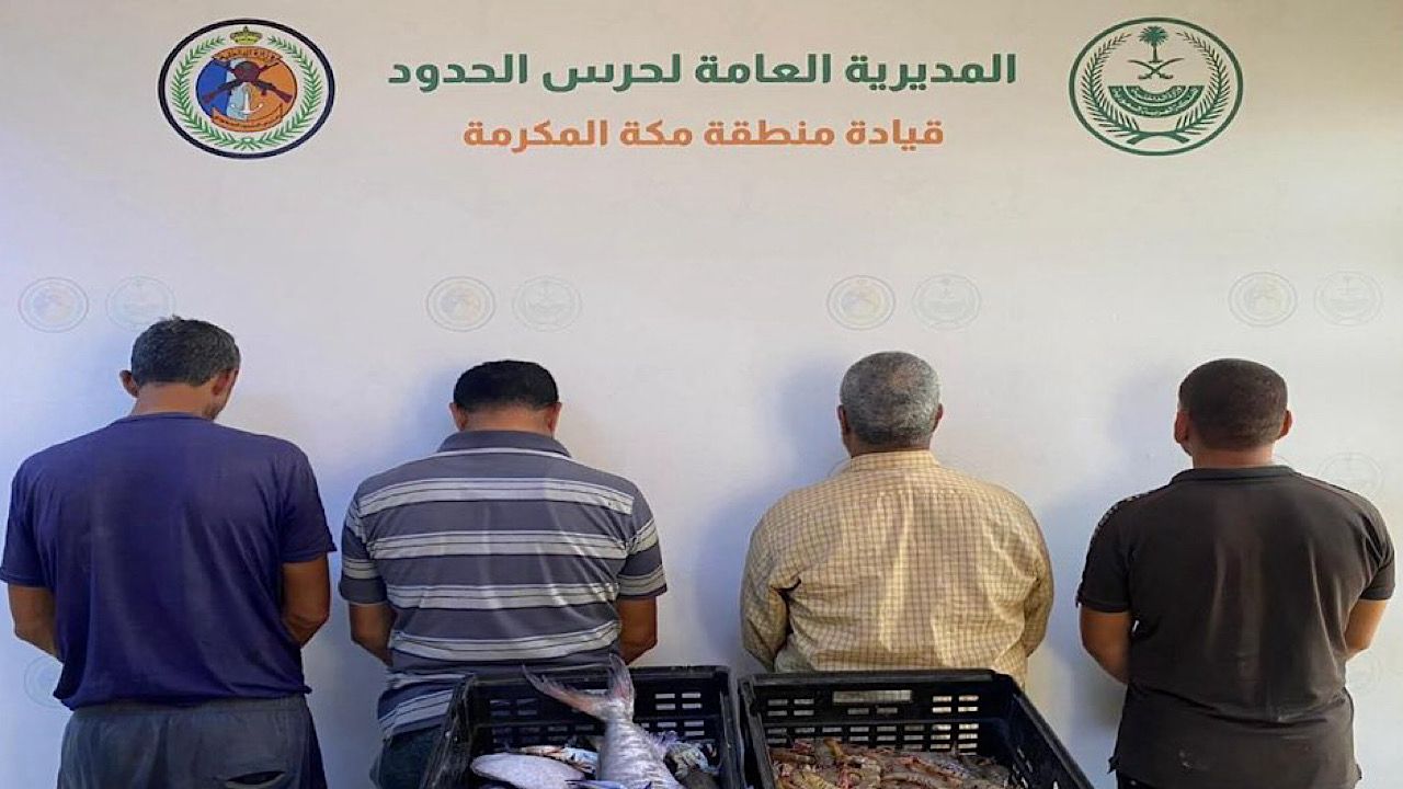 ضبط 4 مخالفين لأنظمة الغوص والصيد في محافظة القنفذة
