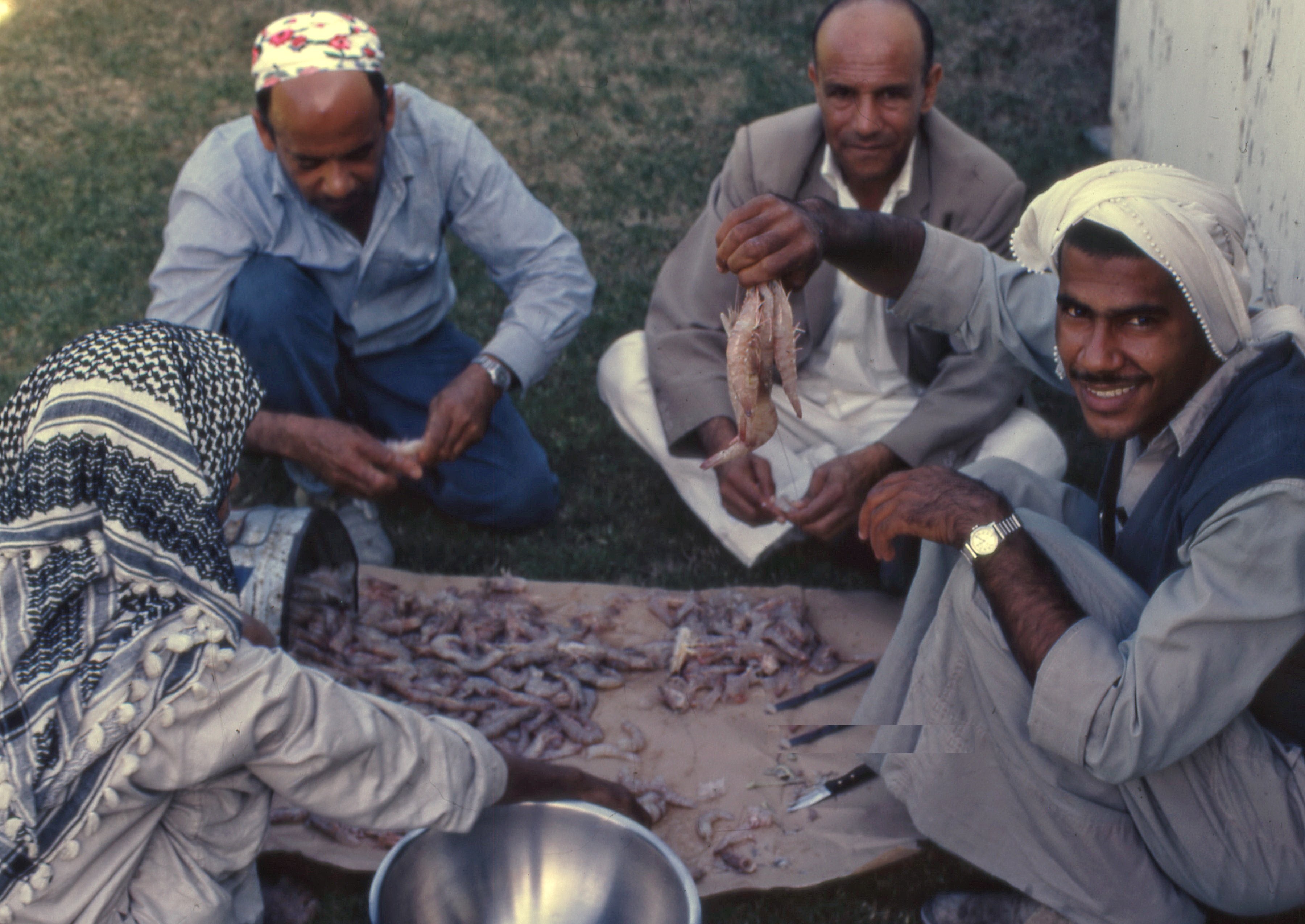 تجهيز الجمبري للطبخ في الظهران قبل 55 عام
