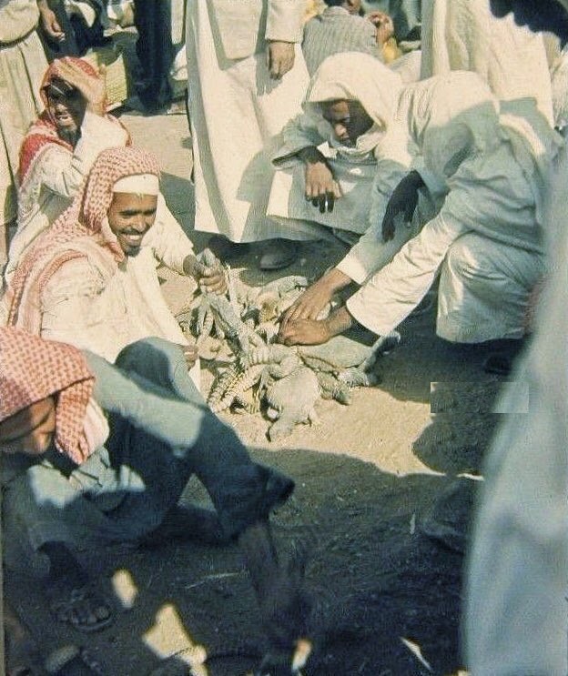 بيع الضبان في أسواق الرياض قديما