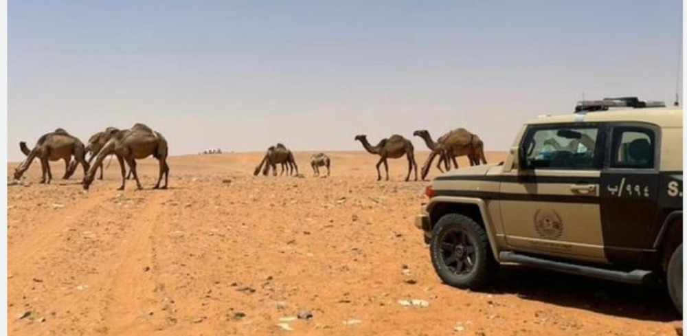 ضبط مواطن مخالف لنظام البيئة بمحمية الإمام عبدالعزيز بن محمد الملكية