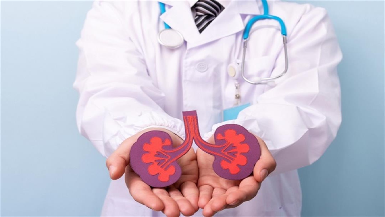 5 نصائح للحفاظ على صحة الكلى أثناء رمضان