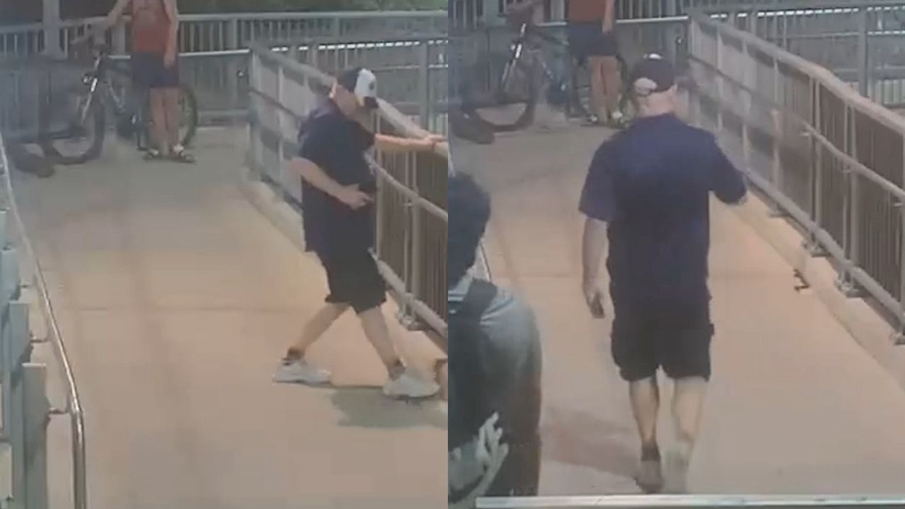 ثعبان سام يثير الذعر في محطة ريفرستون بسيدني .. فيديو